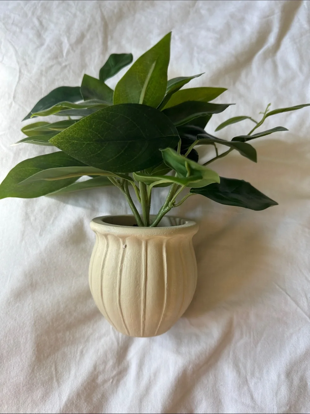 IKEA White Arched Wall Mirror with Hanging Macrame Plant Holder comes with plant